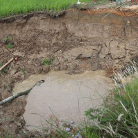 ‘केआइआइटीमा विद्यार्थी पठाउन बन्द गरौँ’
