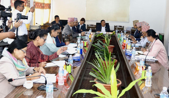 अर्थसमितिमा बाफियामाथि छलफल