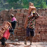 तनहुँमा धान उत्पादन क्षेत्र घट्दै