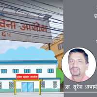 ई रिक्साले घटायो बिदेसिने रहर
