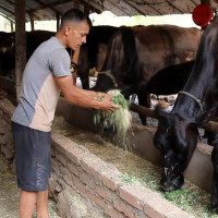 शान्तिप्रक्रियाका बाँकी काम यही सरकारले पुरा गर्छ : उपमहासचिव पोखरेल