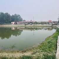 अपाङ्गता भएका व्यक्तिलाई घरमै परिचय पत्र र ह्विल चेयर