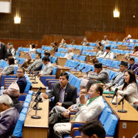 प्रिसा साह मृत्यु प्रकरणमा छानबिनका लागि पहल गर्न सरकारलाई निर्देशन