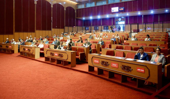 नीति तथा कार्यक्रममा सांसदको मिश्रित प्रतिक्रिया
