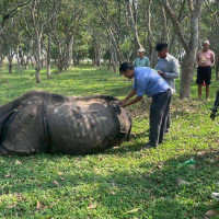 गुल्मीदरबारमा कपडा बैँक स्थापना
