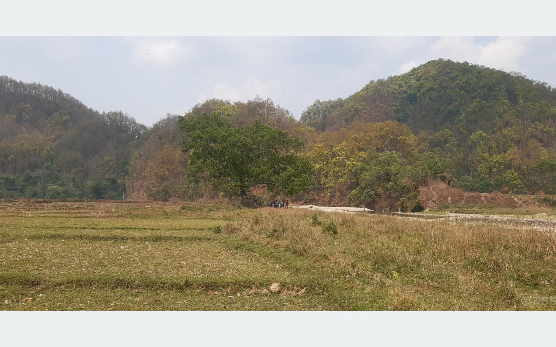 blog