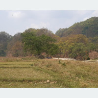 नेपालगञ्जमा अत्याधुनिक वाल पार्क बन्दै