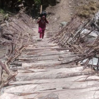 पहिले दुर्व्यसनीको अखडा, अहिले बन्यो ड्रागन फ्रुटको बगैँचा