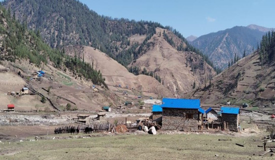 पहिले दुर्व्यसनीको अखडा, अहिले बन्यो ड्रागन फ्रुटको बगैँचा