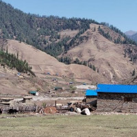 कर्णालीलाई प्राथमिकतामा राख्न माग