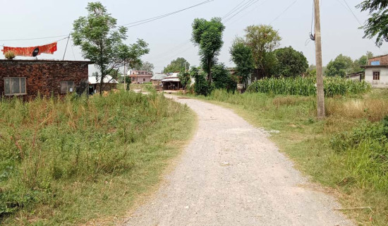 नौ वर्षमा पनि बनेन आठ किलोमिटर सडक