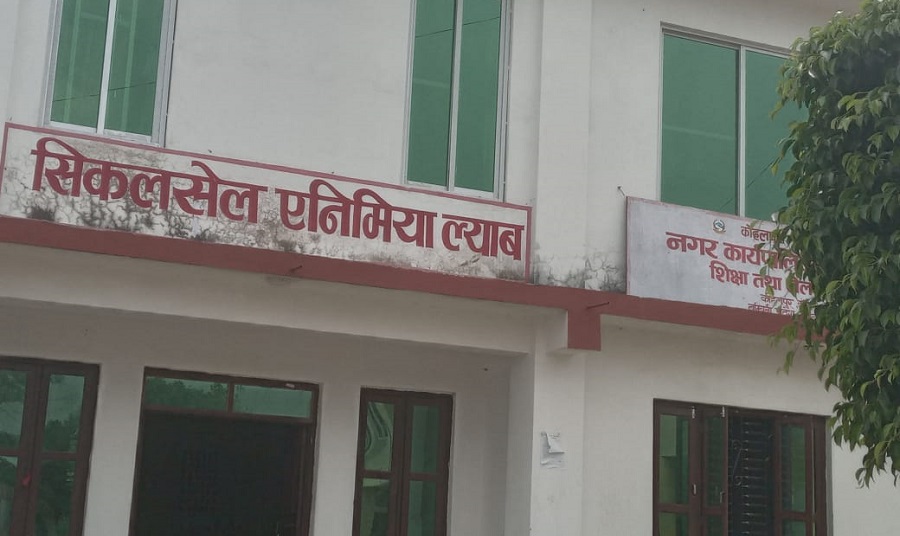 कोहलपुरमा ७५ जना सिकलसेल थालसेमियाका बिरामी फेला