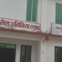 अध्यक्ष दाहाल र अर्थमन्त्री पौडेलबीच भेटवार्ता