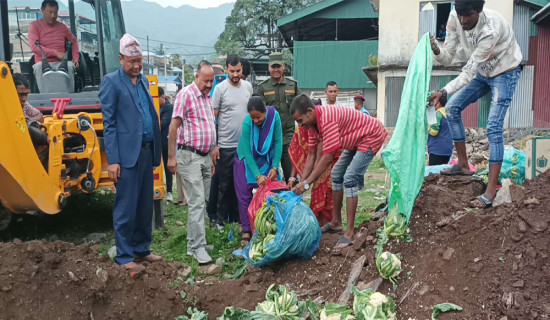 कृषि उपज बजारमा आएको फूलकोभीमा ९७ प्रतिशत विषादी