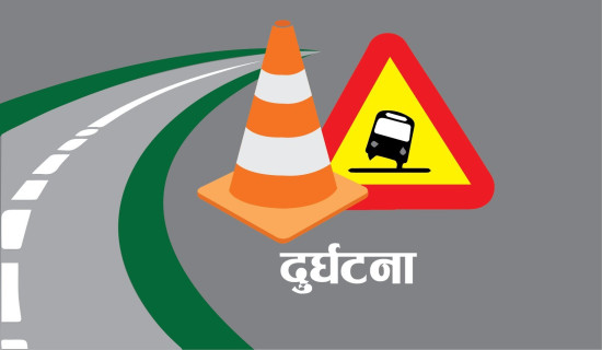कुखुरा बोकेको पिकअप दुर्घटना