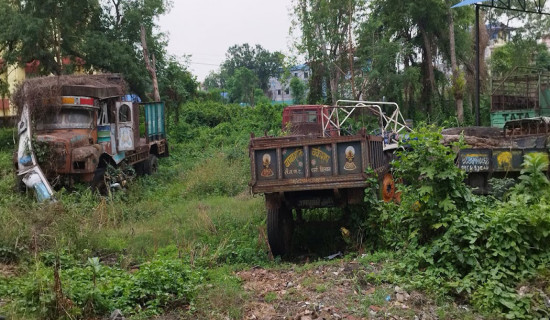 लिलामी नगर्दा राजस्व माटोमा मिल्दै