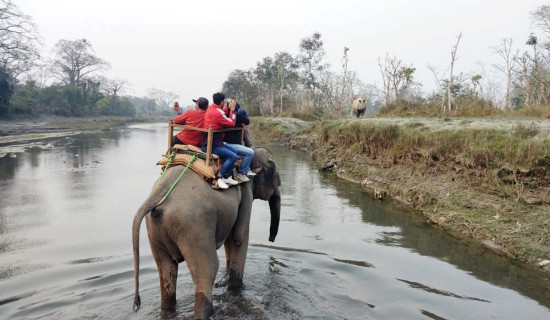पर्यटक आकर्षणको केन्द्र सौराहा