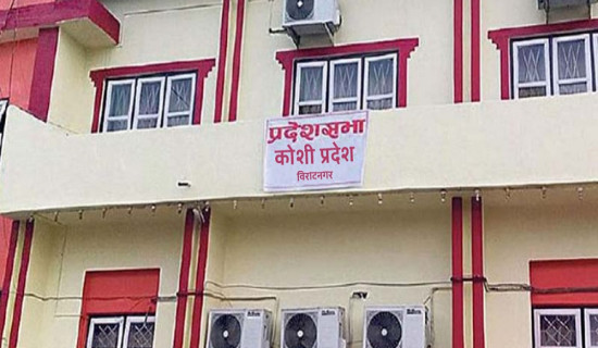 आइटीलाई उद्योगको रूपमा स्थापित गर्छौं : मन्त्री गुरुङ