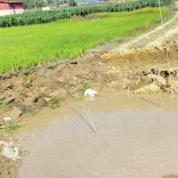 कांग्रेस नेत्री आरजु काठमाडौंमै, सिंगापुर गएको हल्ला निराधार