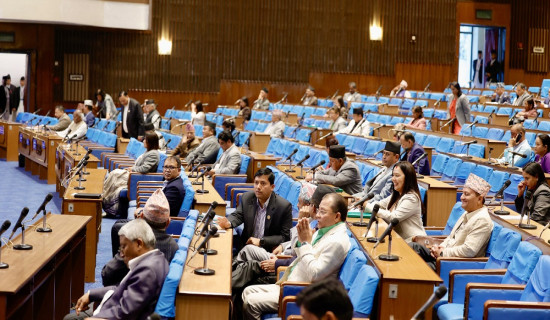 रित्तो संसदमा छलफल