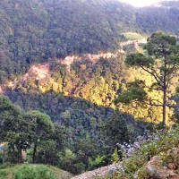 भेटिएन जमिनमुनि भाँसिएको गाडी : फर्कियो भूगर्भविद्को टोली