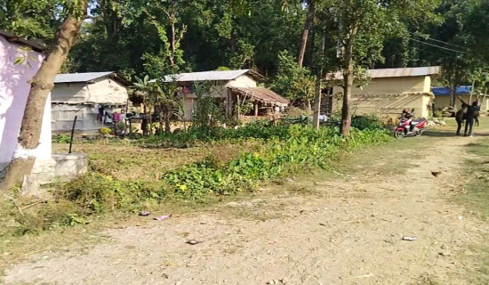 फुटकर व्यापारीको उत्साहपूर्ण रङको व्यापार (फोटो फिचर)