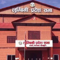 एमालेलाई उपेक्षा गरेर देशको राजनीति अघि बढ्दैन : उपाध्यक्ष पौडेल