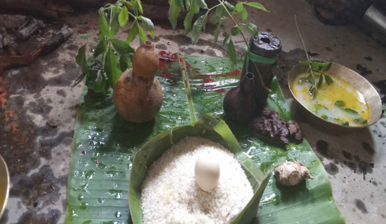 सुनुवार भाषा