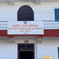 कपास खारेजीको निर्णयले किसान अन्यौलमा