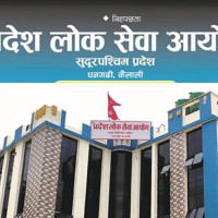 भूमाफियाको कब्जामा ७० बिघा