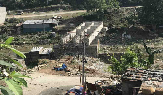 विश्वमै अति दुर्लभ बैकाल गैरी चरा भेटियो