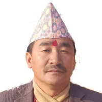 डिभिजन वन कार्यालयद्वारा निःशुल्क बिरुवा वितरण