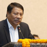 मीना परियार हत्या प्रकरण : अभियुक्तलाई पुर्पक्षका लागि थुनामा पठाउने आदेश
