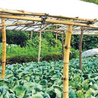 दुर्घटनामा एकको मृत्यु