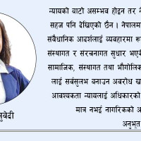 शेरा दरबारको जग्गा हिनामिनाबारे विस्तृत अनुसन्धान हुँदै