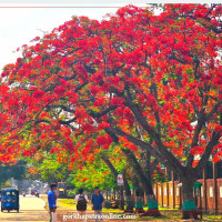 दाङमा बस दुर्घटना हुँदा दुईको मृत्यु, दुईजना घाइते
