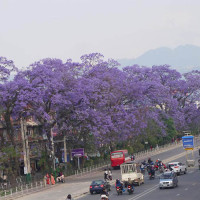 प्रधानमन्त्री कप क्रिकेट : पुलिस क्लबद्वारा कर्णालीलाई १४८ रनको लक्ष्य