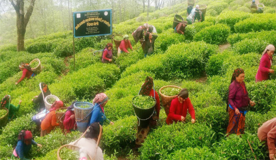 सडक कालोपत्रे नहुँदा मुख्यमन्त्रीसँग प्रश्न
