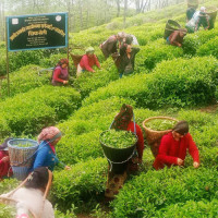मनसुन कप फुटबल प्रतियोगिताको उपाधि आयोजकलाई