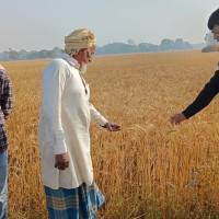 बुढ्यौली जनसङ्ख्याको प्रभाव
