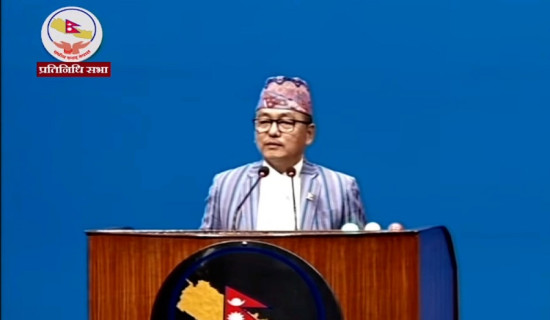 सरकारले औपचारिकताका लागि मात्रै नीति तथा कार्यक्रम ल्याएको देखियो : अध्यक्ष लिङ्देन