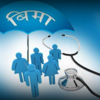 मकैको बिउमा आत्मनिर्भर, किसान भने आयातित नै रोज्छन्