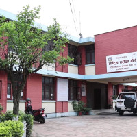 सिमेन्टपछि छड निर्यात