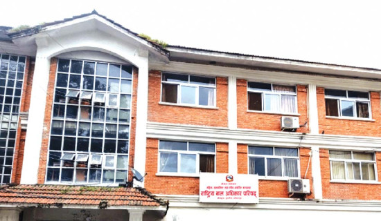 सडक बालबालिकामुक्त घोषणा गर्न निर्देशन