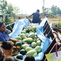 पालिकाको नीति तथा कार्यक्रममा  जनयुद्ध र मधेश आन्दोलन