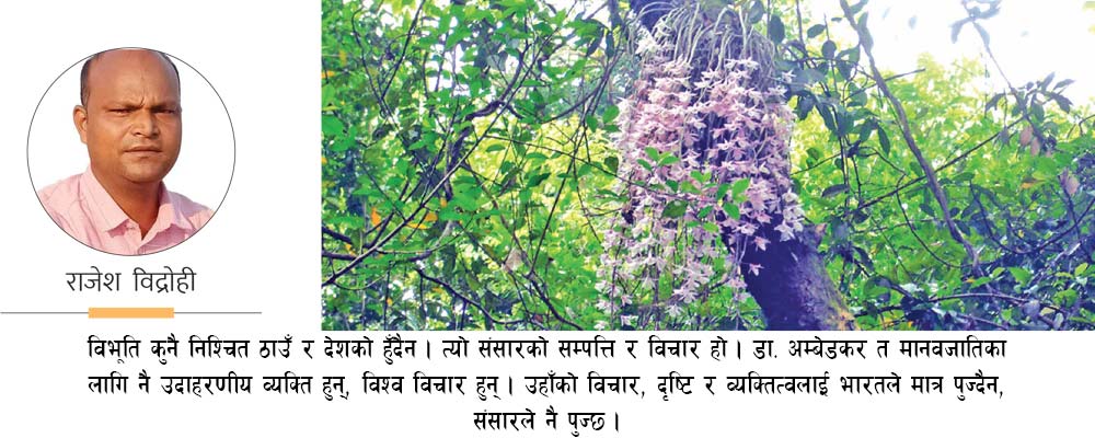 सहलेस फूलबारीमा अम्बेडकर पार्क !