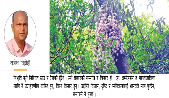 सहलेस फूलबारीमा अम्बेडकर पार्क !