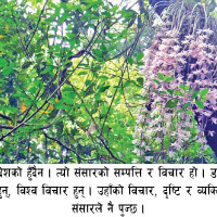 विद्यालय पाठ्यक्रममा असङ्गति