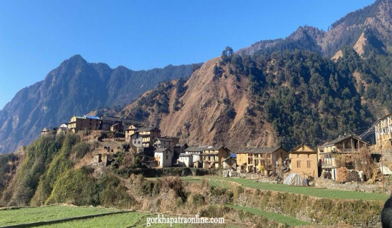 चिसो बढेपछि हाँसको मासुको माग उच्च