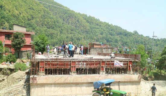 काठमाडौँमा वसन्त बहार
